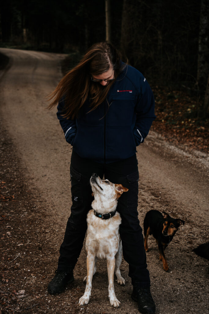 Hundetrainer in Bern