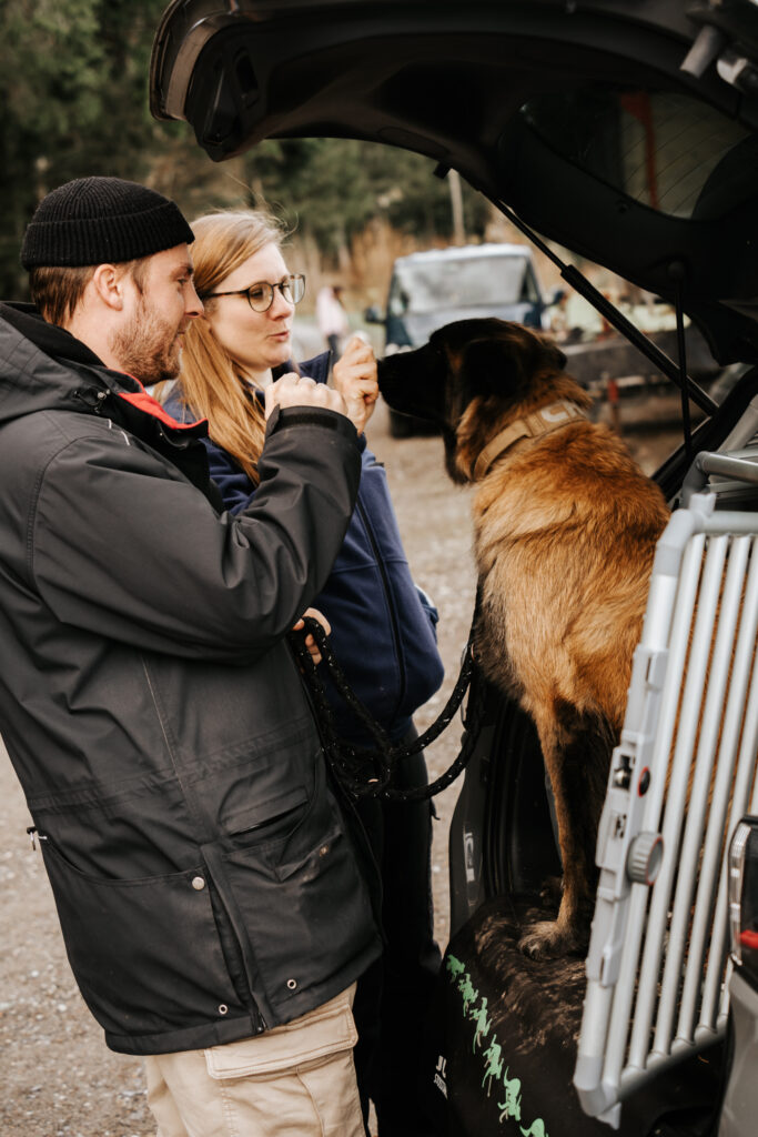 Disziplinierte und harmonische Hundehaltung